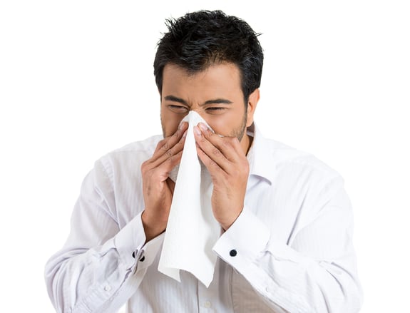Closeup portrait of sick young man student or worker with allergy or germs cold, blowing his nose with kleenex, looking miserable unwell very sick, isolated on white background. Flu season, vaccine,